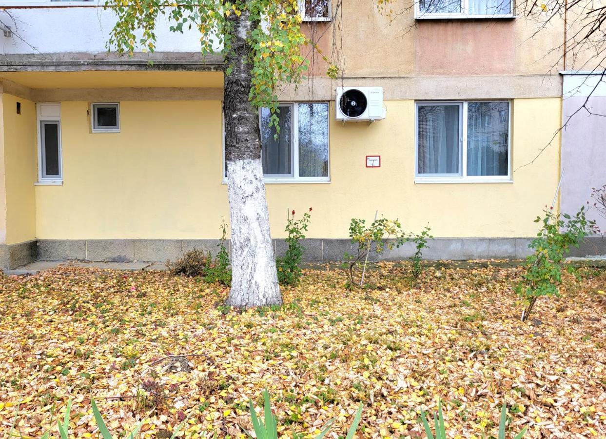 Apartment Cedonia *